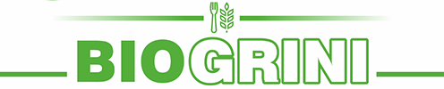 Grini